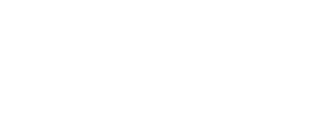 logo Ladis